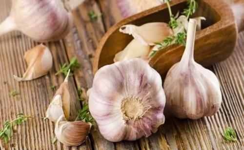 Какие культуры подходят для осенних посадок и как их высаживать 03 Какие культуры подходят для осенних посадок и как их высаживать 03