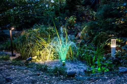 Какие современные тенденции в ландшафтном дизайне доступны для бюджета.  Инновационный подход во всем