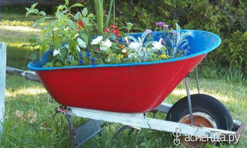 Как использовать старые вещи в ландшафтном дизайне. Старые вещи в ландшафтном дизайне