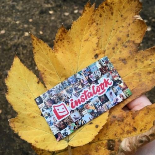 7 красивых способов украсить дом осенними дарами природы. 7 простых подсказок для создания красивого осеннего венка на двери 34