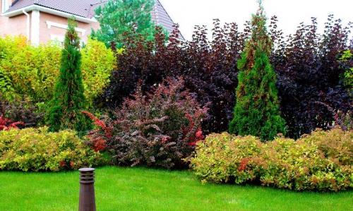 Как превратить пустой участок в красивый ландшафт: советы по дизайну 04