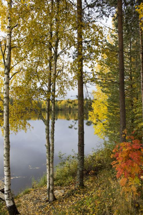 Потолочный карниз: что это такое и как правильно выбрать 05