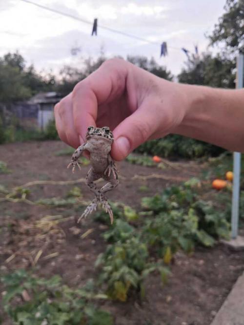 Скамейка из профильной трубы за 3 часа своими руками. Скамья из профтрубы своими руками   1